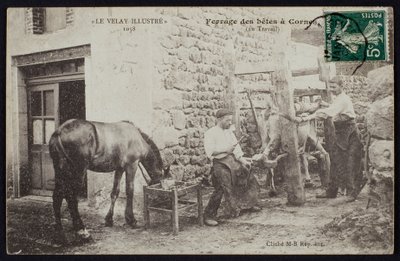Shoeing of a Horse in Cornes, Le Velay, c.1900 by French Photographer